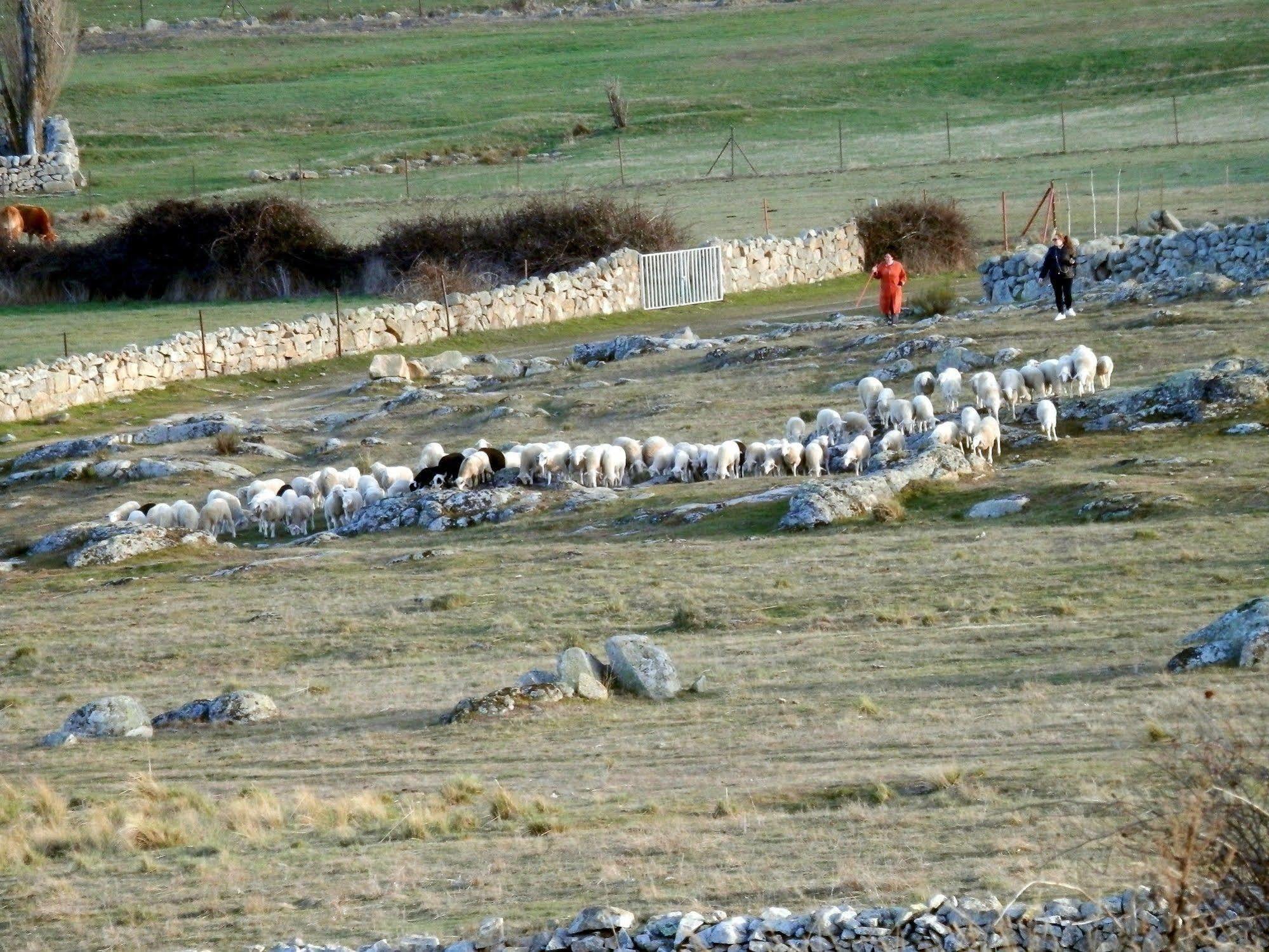 Pensjonat Casa Rural El Dolmen Bernuy-Salinero Zewnętrze zdjęcie